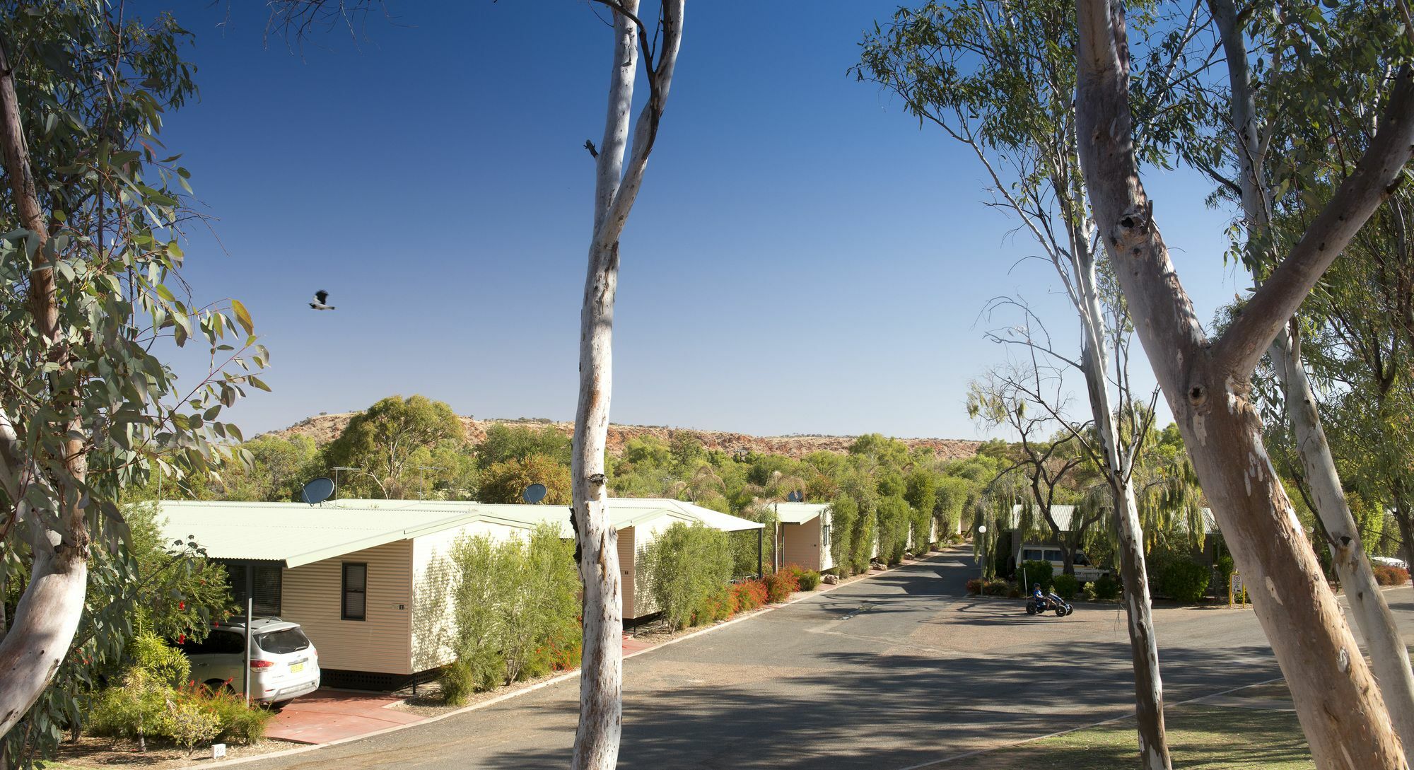 Discovery Parks - Alice Springs Extérieur photo
